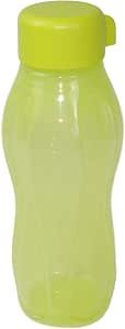 écobouteille 310 ml anis
