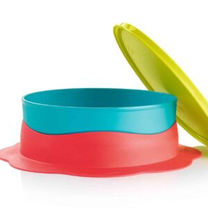 assiette bebe ventouse new