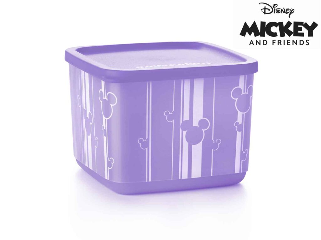 bte disney 1L rayure