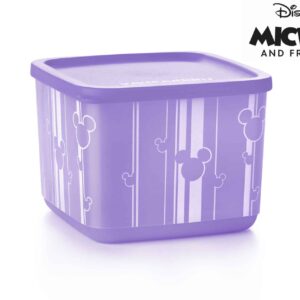 bte disney 1L rayure