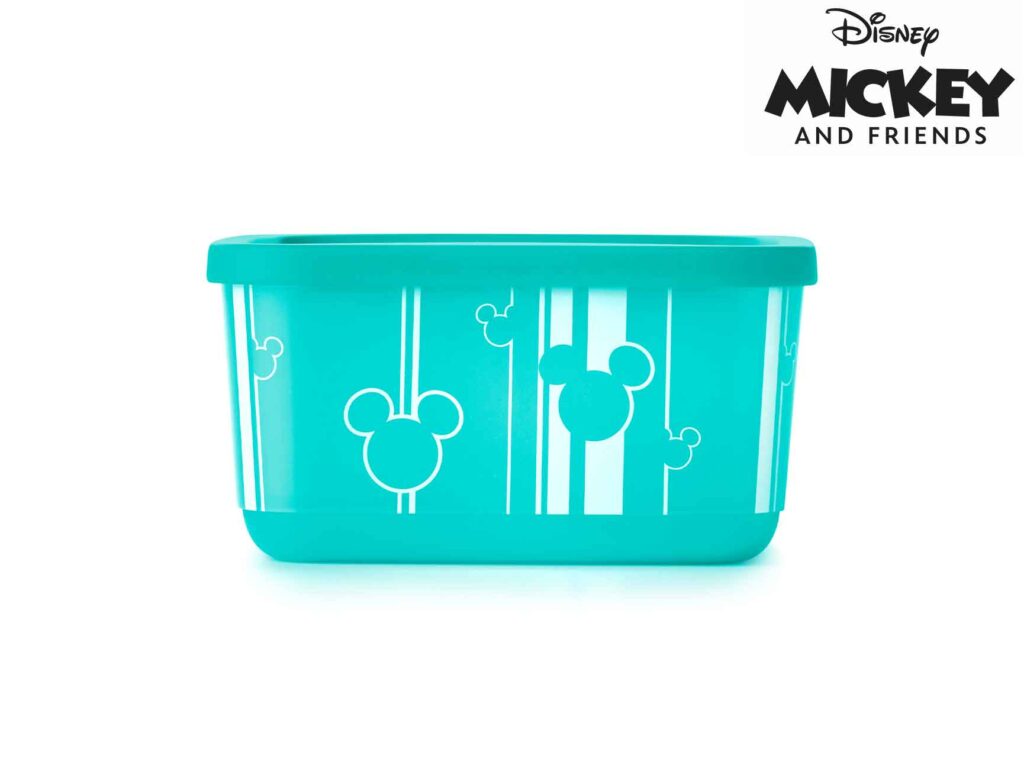 BTE 650ML DISNEY RAYURE
