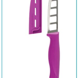 COUTEAU A FROMAGE FLASHY