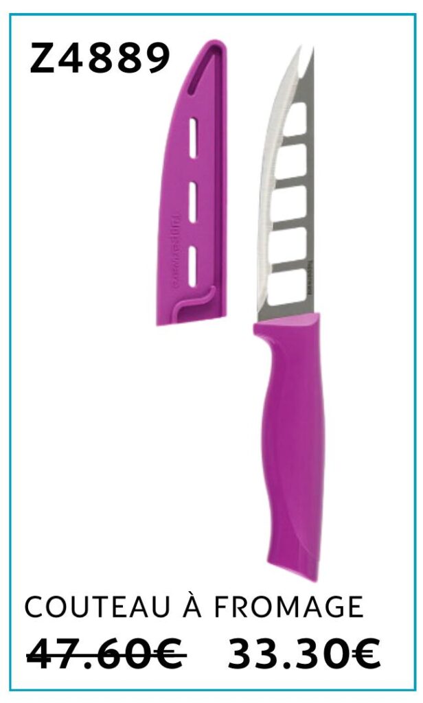 COUTEAU A FROMAGE FLASHY