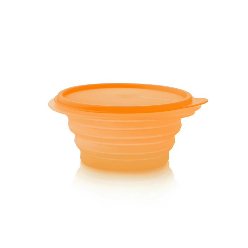 BOL PLIABLE MINI MAX 700 ML