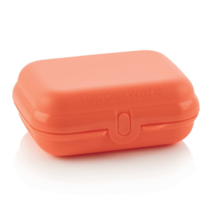 Eco bte à beti petite saumon